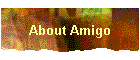 About Amigo