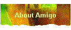 About Amigo