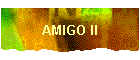AMIGO II